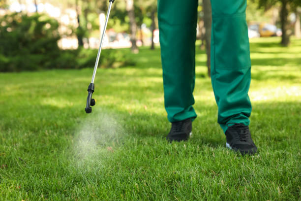 Best Cockroach Control Services  in Glenwood, MN