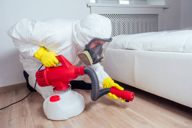Best Bed Bug Extermination  in Glenwood, MN