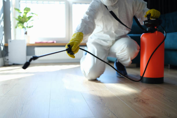 Best Pest Prevention Services  in Glenwood, MN
