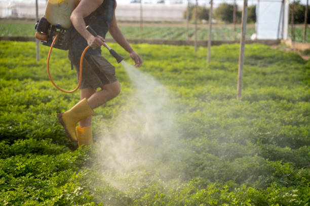 Best Residential Pest Control  in Glenwood, MN